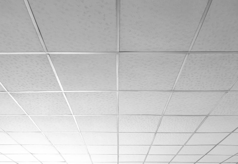 Ceiling Texturing Service