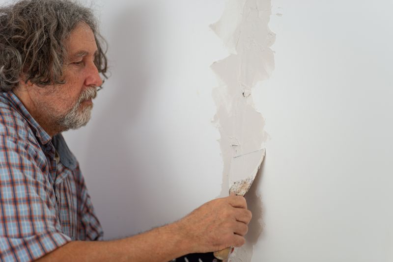 Plaster Repair Service