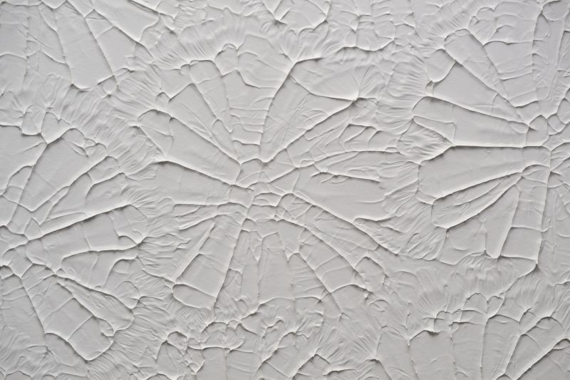 Wall And Ceiling Plaster Repair