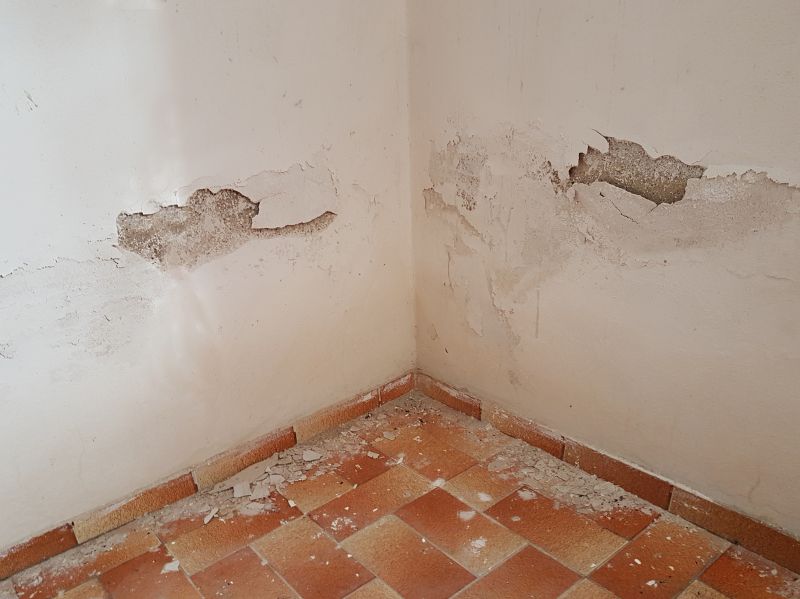 Wall And Ceiling Plaster Repair