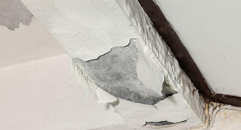 Ceiling Repair During Fall
